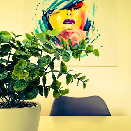 Διαμέρισμα Spacieux Lumineux *