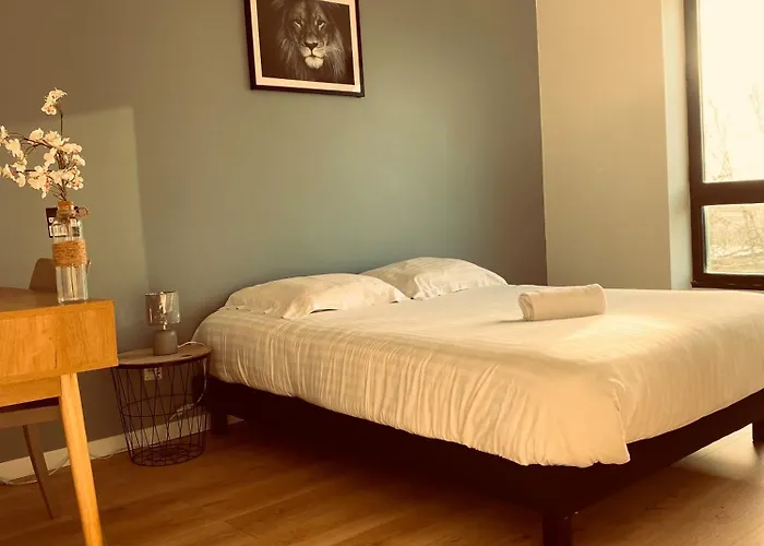 Appartement Spacieux Lumineux